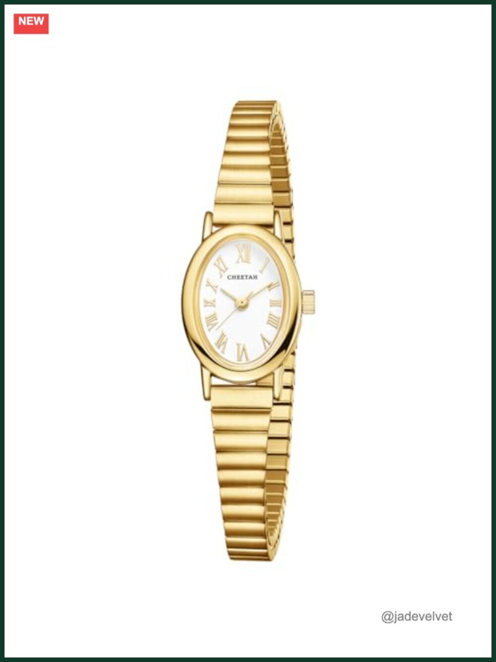Dainty Oval Gold-Tone Watch with Stainless Steel Expansion Band and Roman Dial